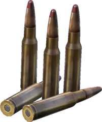 .308 WIN Tracer Rounds