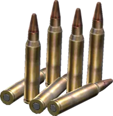 5.56x45mm Rounds