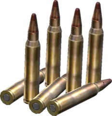 5.56x45mm Tracer Rounds