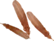 Chicken Feathers