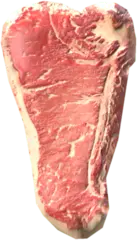 Dog Steak