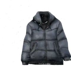 Down Jacket