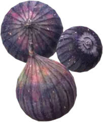 Figs