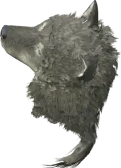 Headdress