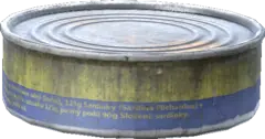 Canned Sardines