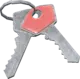 Scientific Briefcase Keys