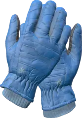 Ski Gloves