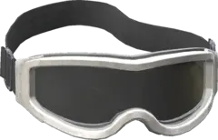 Ski Goggles